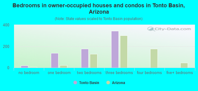 Bedrooms in owner-occupied houses and condos in Tonto Basin, Arizona