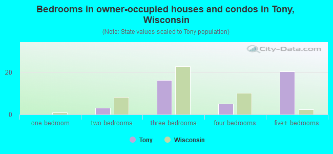 Bedrooms in owner-occupied houses and condos in Tony, Wisconsin