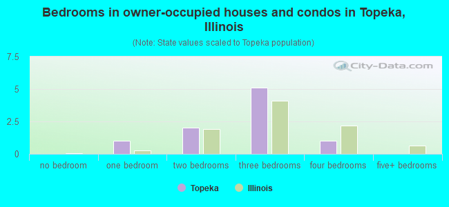 Bedrooms in owner-occupied houses and condos in Topeka, Illinois