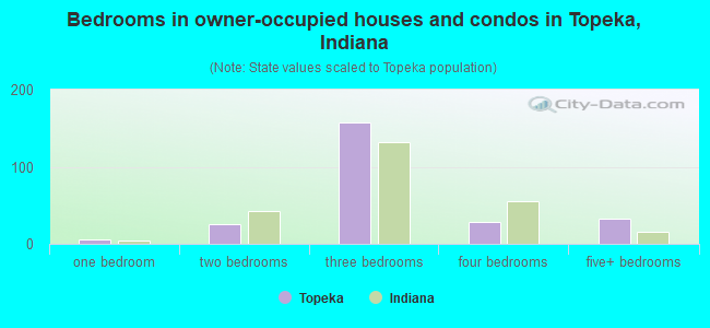 Bedrooms in owner-occupied houses and condos in Topeka, Indiana