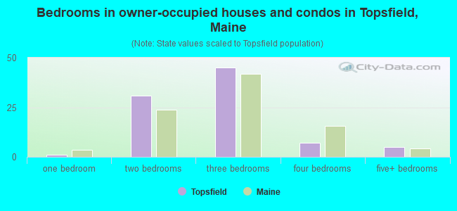 Bedrooms in owner-occupied houses and condos in Topsfield, Maine