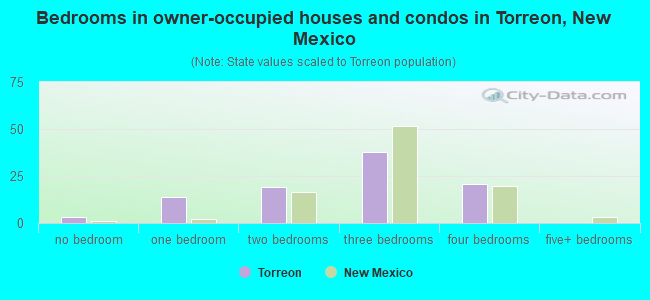 Bedrooms in owner-occupied houses and condos in Torreon, New Mexico
