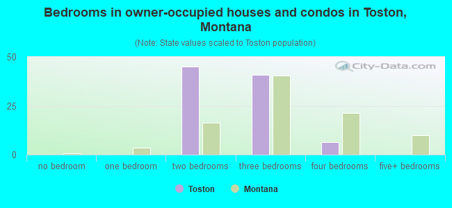 Bedrooms in owner-occupied houses and condos in Toston, Montana