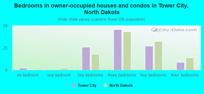 Bedrooms in owner-occupied houses and condos in Tower City, North Dakota