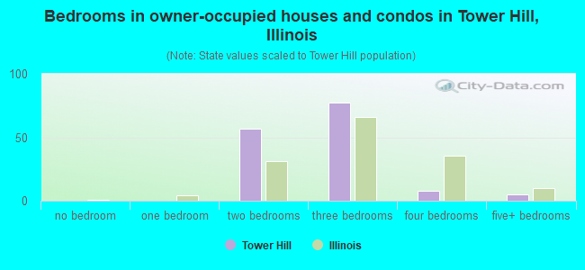 Bedrooms in owner-occupied houses and condos in Tower Hill, Illinois