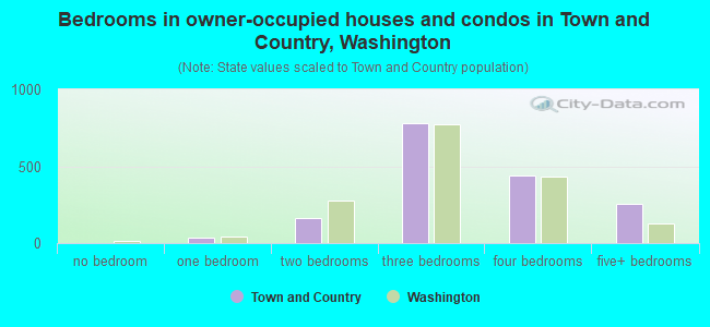 Bedrooms in owner-occupied houses and condos in Town and Country, Washington