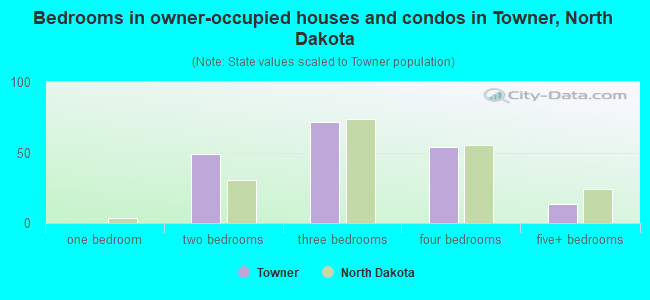 Bedrooms in owner-occupied houses and condos in Towner, North Dakota