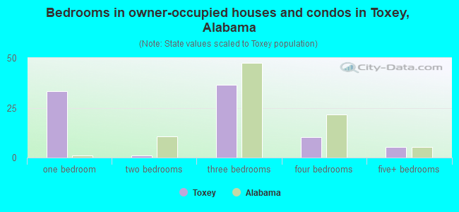 Bedrooms in owner-occupied houses and condos in Toxey, Alabama