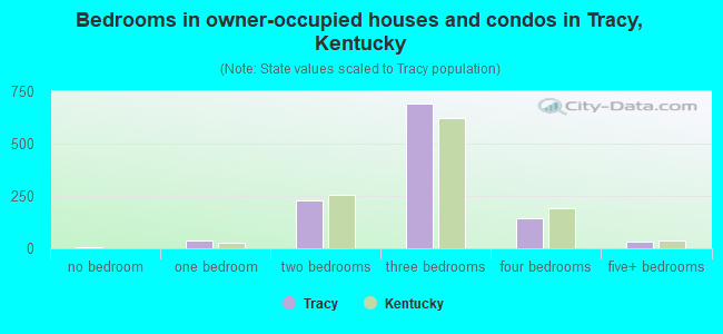 Bedrooms in owner-occupied houses and condos in Tracy, Kentucky