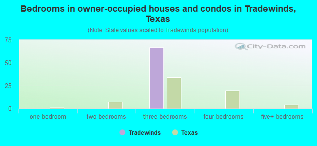 Bedrooms in owner-occupied houses and condos in Tradewinds, Texas