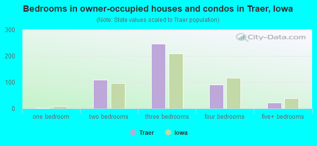 Bedrooms in owner-occupied houses and condos in Traer, Iowa