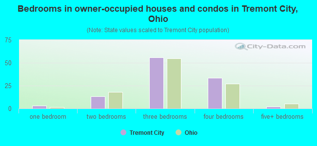 Bedrooms in owner-occupied houses and condos in Tremont City, Ohio