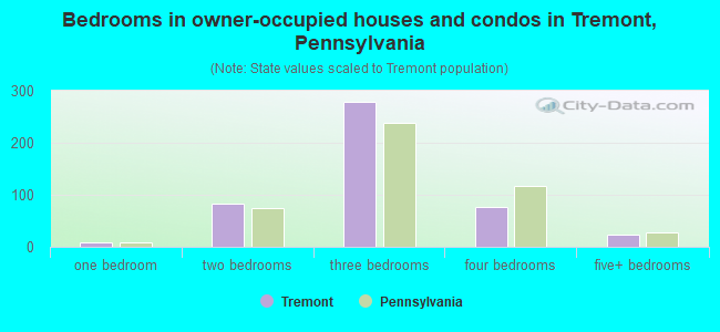 Bedrooms in owner-occupied houses and condos in Tremont, Pennsylvania