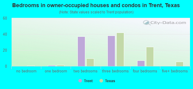 Bedrooms in owner-occupied houses and condos in Trent, Texas