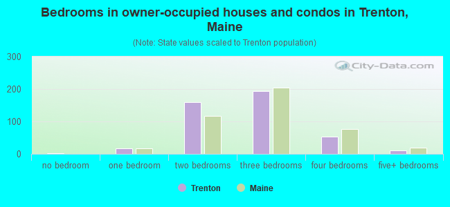 Bedrooms in owner-occupied houses and condos in Trenton, Maine