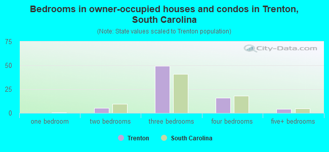 Bedrooms in owner-occupied houses and condos in Trenton, South Carolina