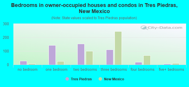 Bedrooms in owner-occupied houses and condos in Tres Piedras, New Mexico