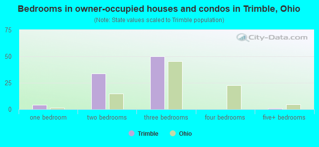 Bedrooms in owner-occupied houses and condos in Trimble, Ohio