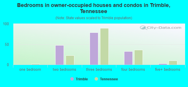 Bedrooms in owner-occupied houses and condos in Trimble, Tennessee