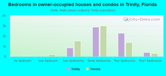 Bedrooms in owner-occupied houses and condos in Trinity, Florida