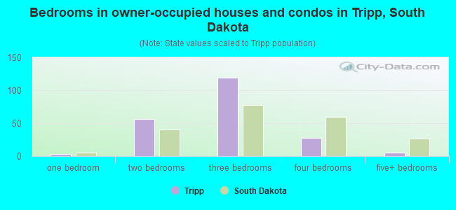 Bedrooms in owner-occupied houses and condos in Tripp, South Dakota