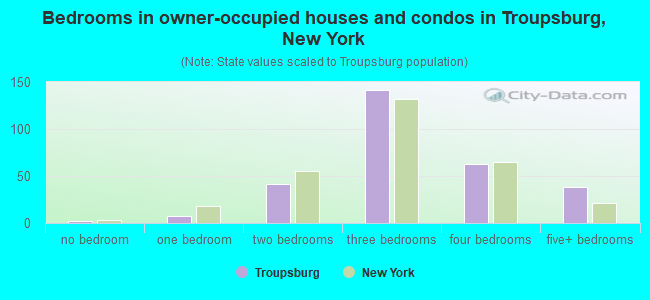 Bedrooms in owner-occupied houses and condos in Troupsburg, New York