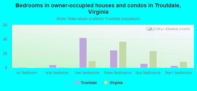 Bedrooms in owner-occupied houses and condos in Troutdale, Virginia