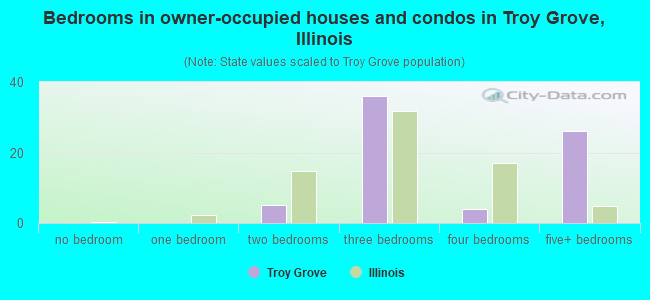 Bedrooms in owner-occupied houses and condos in Troy Grove, Illinois