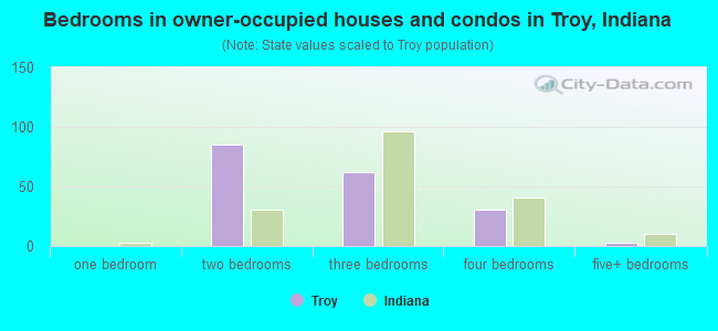 Bedrooms in owner-occupied houses and condos in Troy, Indiana