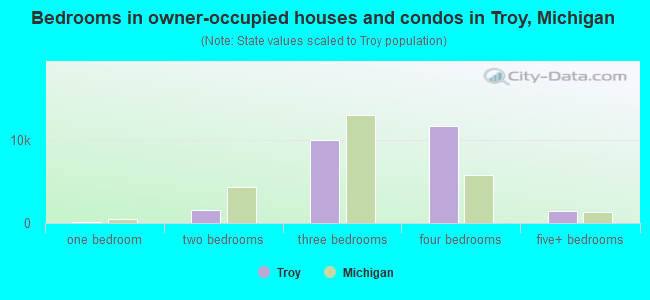 Bedrooms in owner-occupied houses and condos in Troy, Michigan