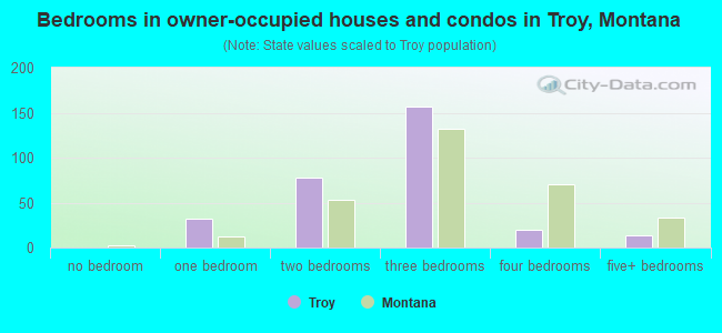 Bedrooms in owner-occupied houses and condos in Troy, Montana