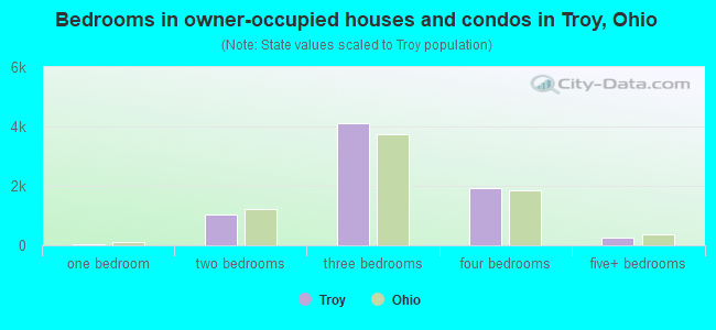 Bedrooms in owner-occupied houses and condos in Troy, Ohio