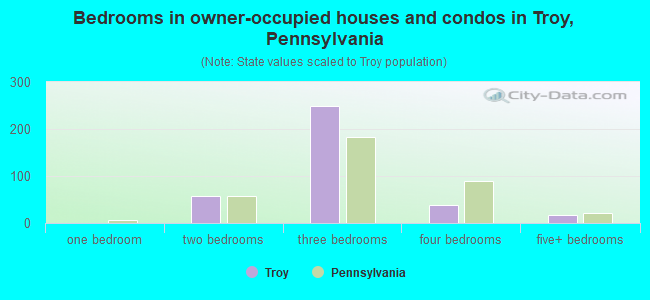 Bedrooms in owner-occupied houses and condos in Troy, Pennsylvania