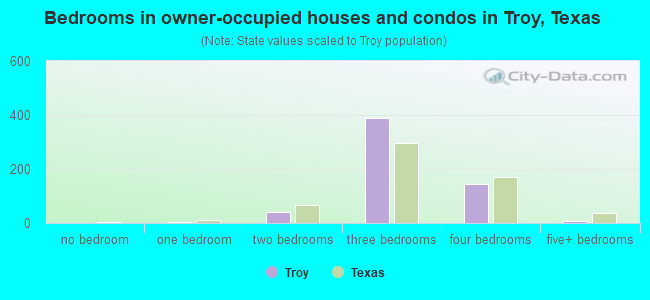 Bedrooms in owner-occupied houses and condos in Troy, Texas