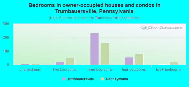 Bedrooms in owner-occupied houses and condos in Trumbauersville, Pennsylvania