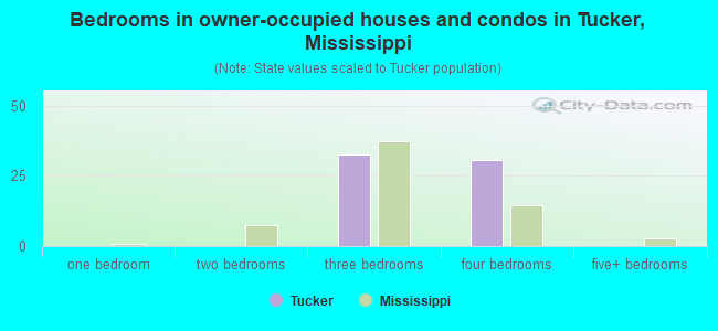 Bedrooms in owner-occupied houses and condos in Tucker, Mississippi