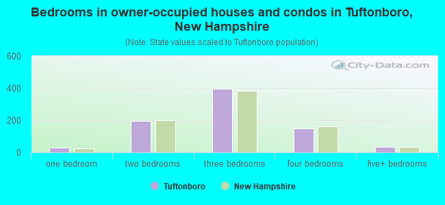 Bedrooms in owner-occupied houses and condos in Tuftonboro, New Hampshire