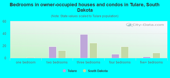 Bedrooms in owner-occupied houses and condos in Tulare, South Dakota