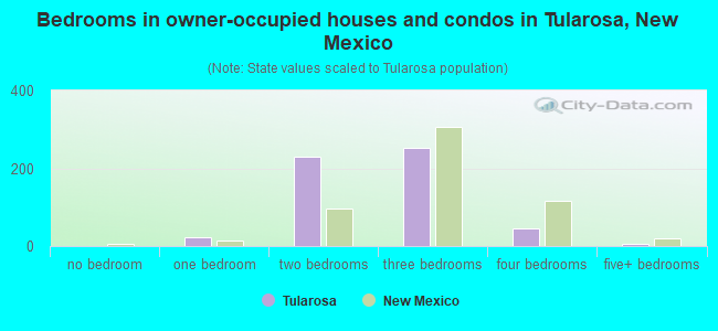 Bedrooms in owner-occupied houses and condos in Tularosa, New Mexico