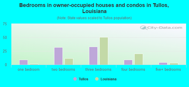 Bedrooms in owner-occupied houses and condos in Tullos, Louisiana