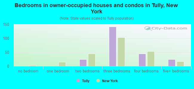 Bedrooms in owner-occupied houses and condos in Tully, New York