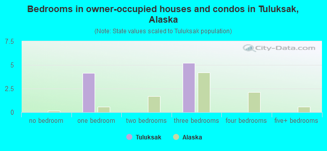 Bedrooms in owner-occupied houses and condos in Tuluksak, Alaska