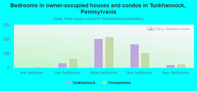 Bedrooms in owner-occupied houses and condos in Tunkhannock, Pennsylvania