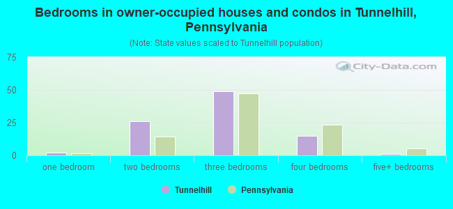 Bedrooms in owner-occupied houses and condos in Tunnelhill, Pennsylvania
