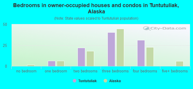 Bedrooms in owner-occupied houses and condos in Tuntutuliak, Alaska