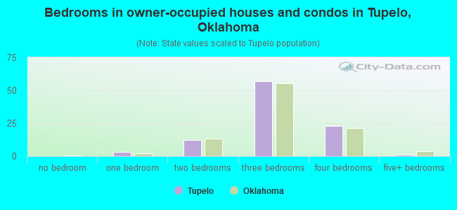 Bedrooms in owner-occupied houses and condos in Tupelo, Oklahoma