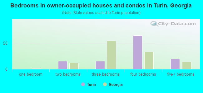 Bedrooms in owner-occupied houses and condos in Turin, Georgia