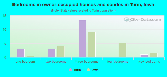 Bedrooms in owner-occupied houses and condos in Turin, Iowa