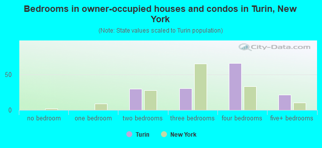 Bedrooms in owner-occupied houses and condos in Turin, New York