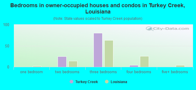 Bedrooms in owner-occupied houses and condos in Turkey Creek, Louisiana